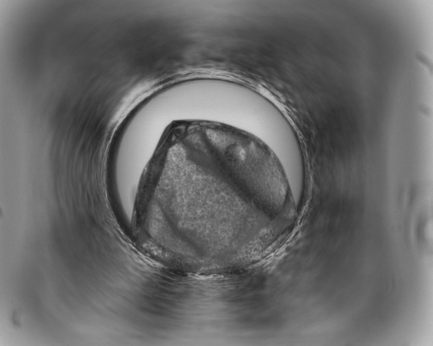 X0000094770199200712071141