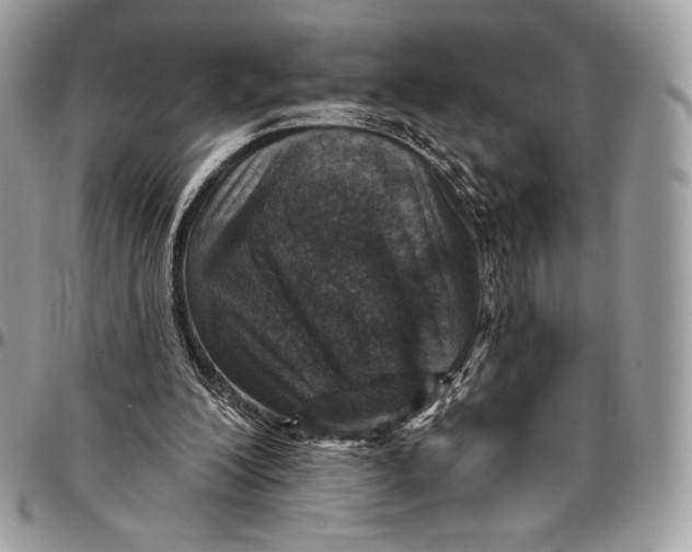 X0000094770200200712071141