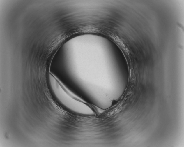 X0000094770201200712071141