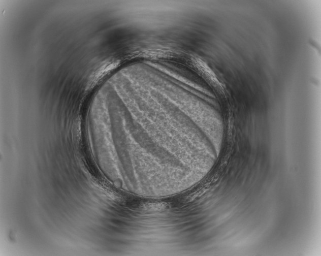 X0000094770202200712071141