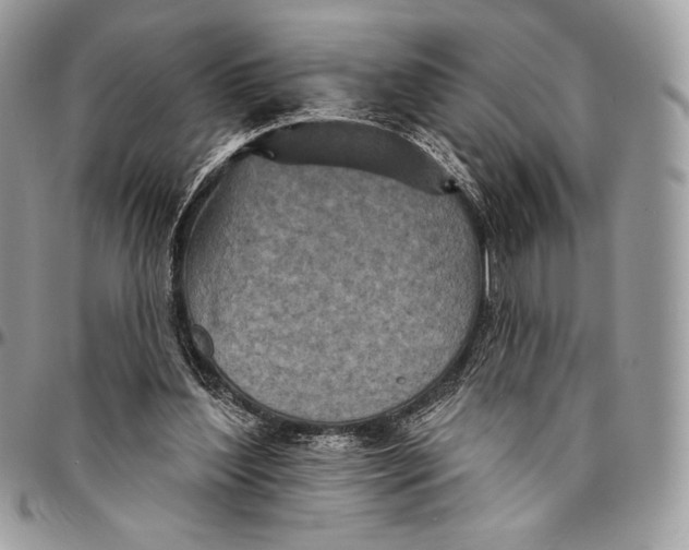 X0000094770204200712071141