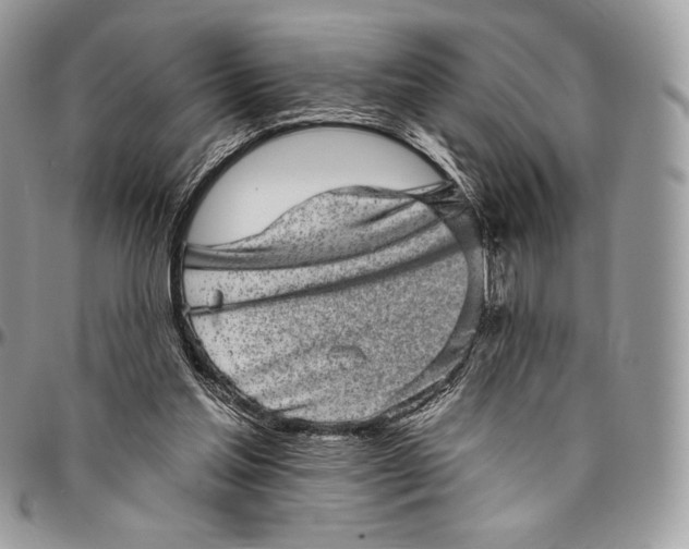 X0000094770205200712071141