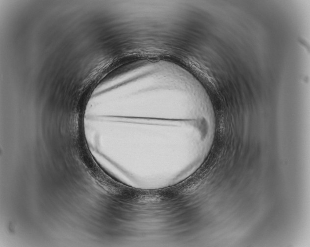 X0000094770206200712071141