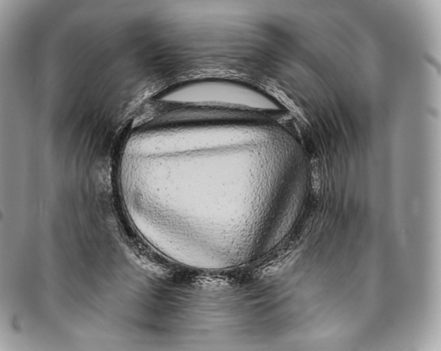 X0000094770207200712071141