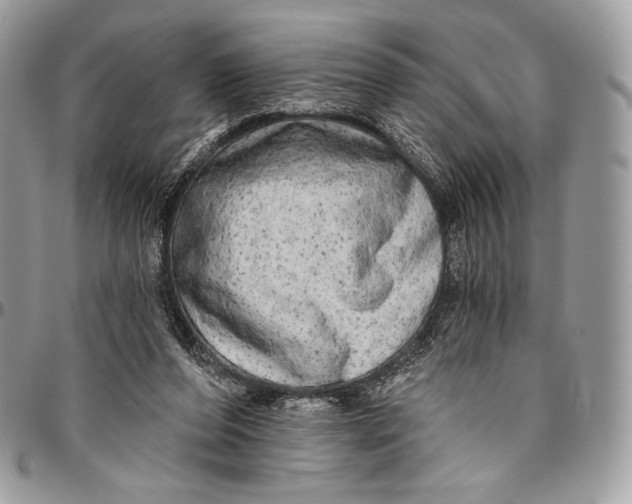 X0000094770208200712071141