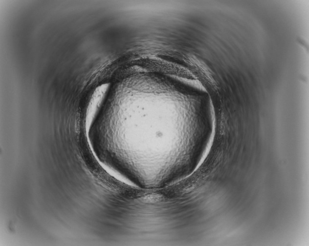 X0000094770210200712071141