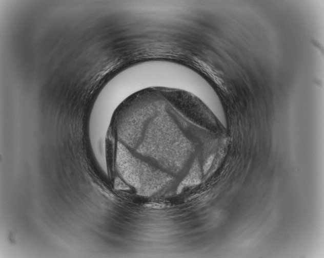 X0000094770211200712071141