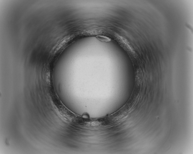 X0000094770212200712071141