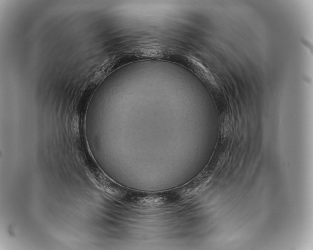 X0000094770213200712071141