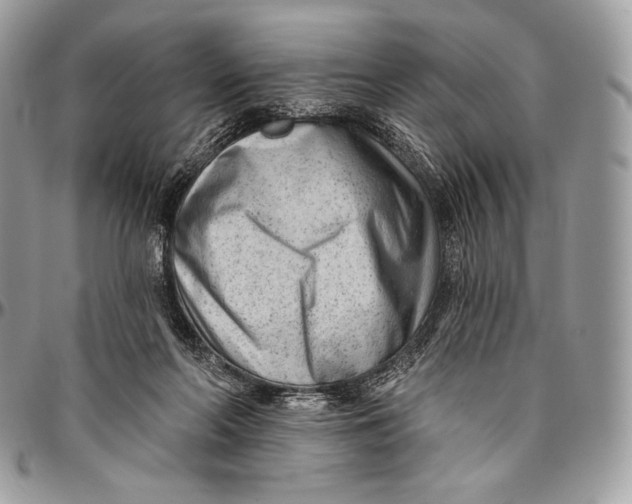 X0000094770214200712071141