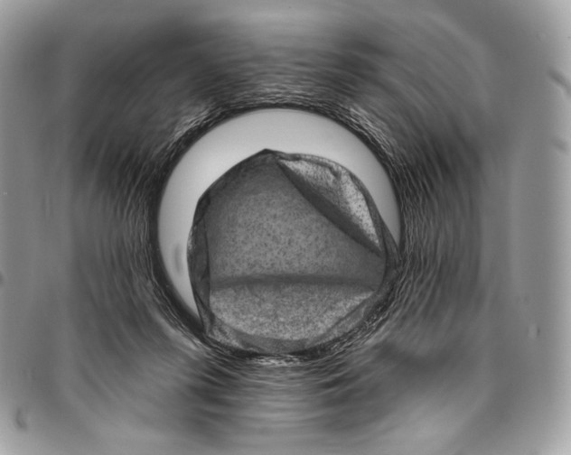 X0000094770215200712071141