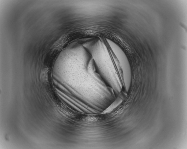 X0000094770217200712071141