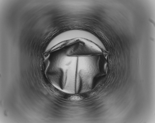 X0000094770218200712071141