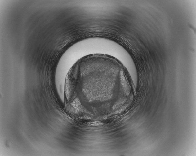 X0000094770219200712071141