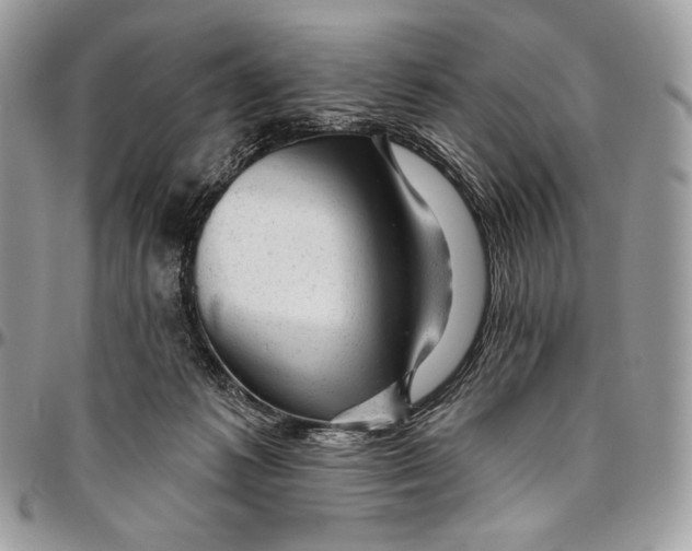 X0000094770221200712071141