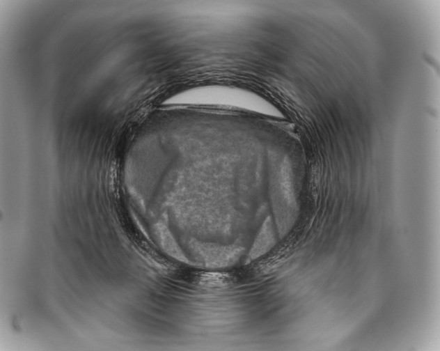 X0000094770222200712071141