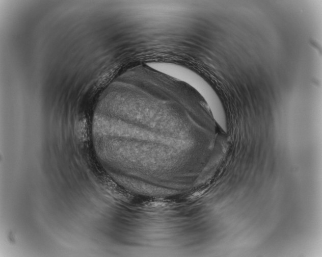 X0000094770224200712071141