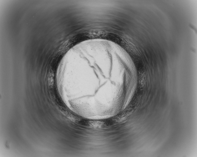 X0000094770226200712071141