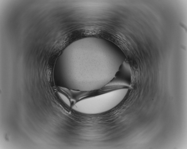 X0000094770227200712071141