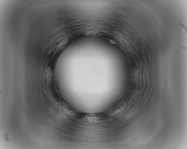 X0000094770228200712071141