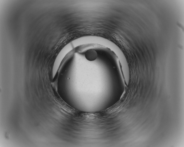 X0000094770229200712071141