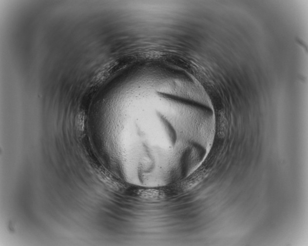 X0000094770230200712071141