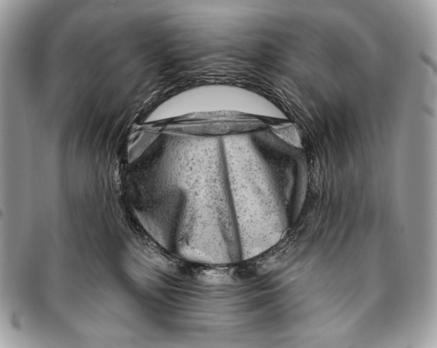 X0000094770232200712071141