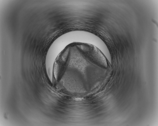 X0000094770233200712071141