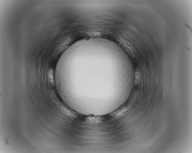 X0000094770238200712071141