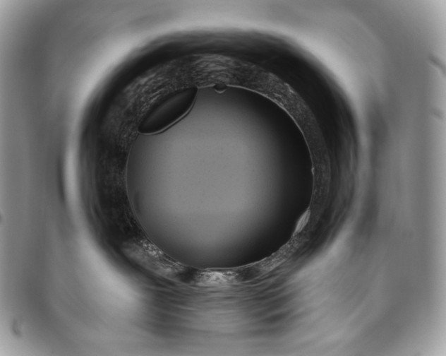 X0000094770239200712071141