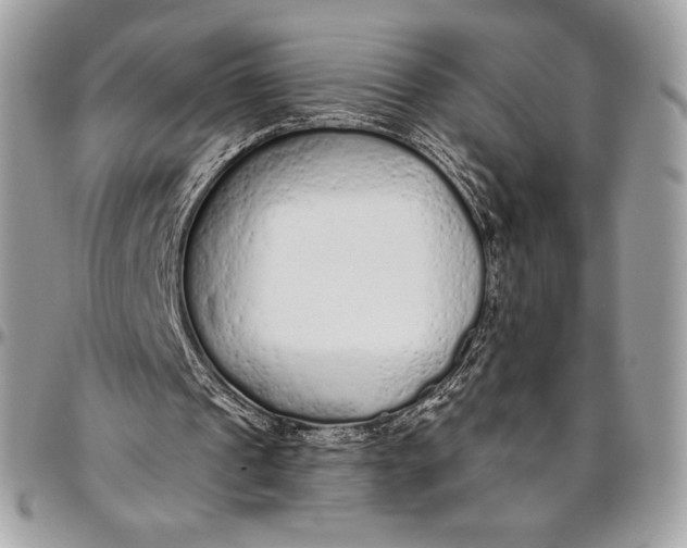 X0000094770241200712071140