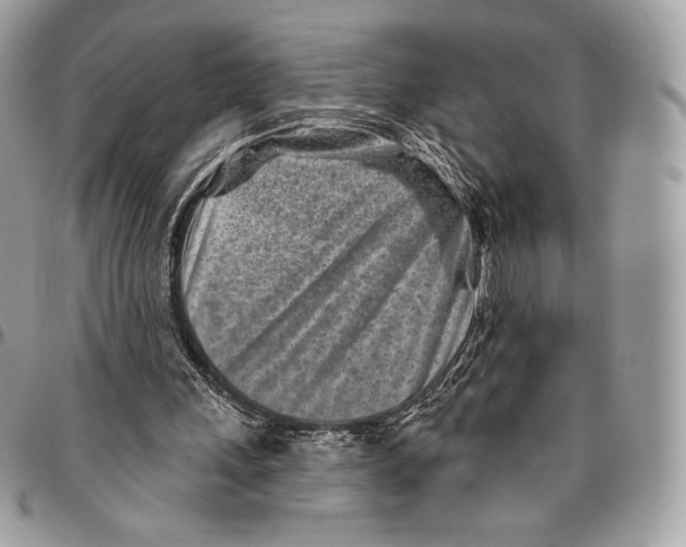 X0000094770243200712071140