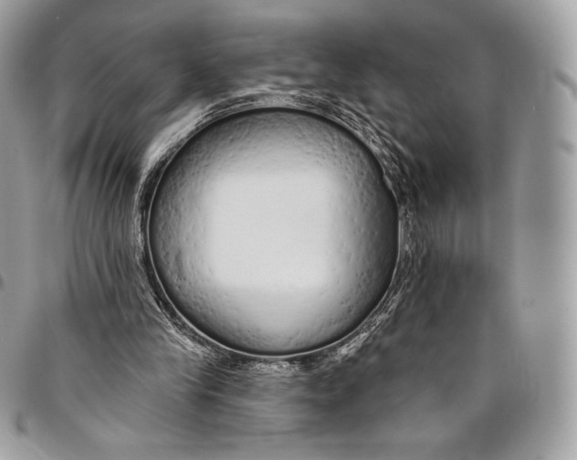 X0000094770245200712071140