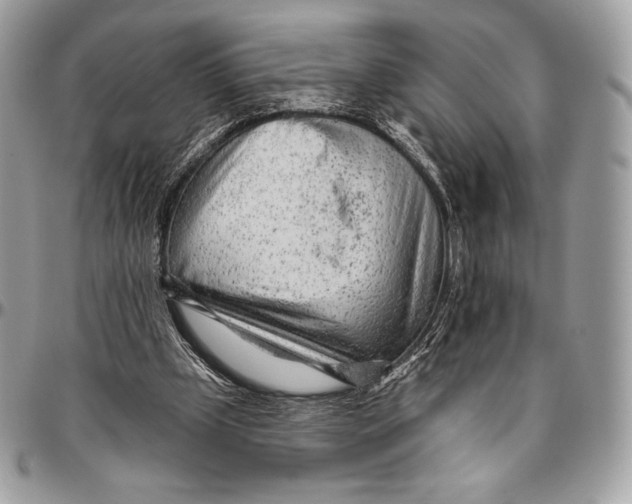 X0000094770249200712071140