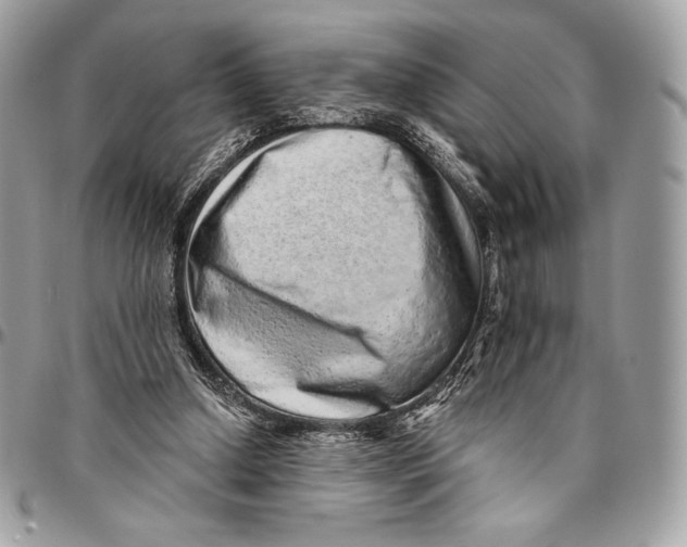 X0000094770250200712071140