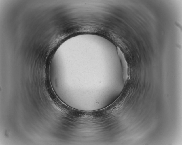 X0000094770252200712071140