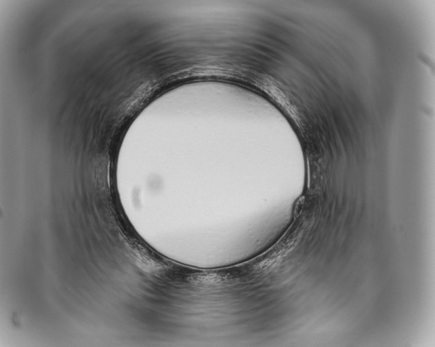 X0000094770253200712071140