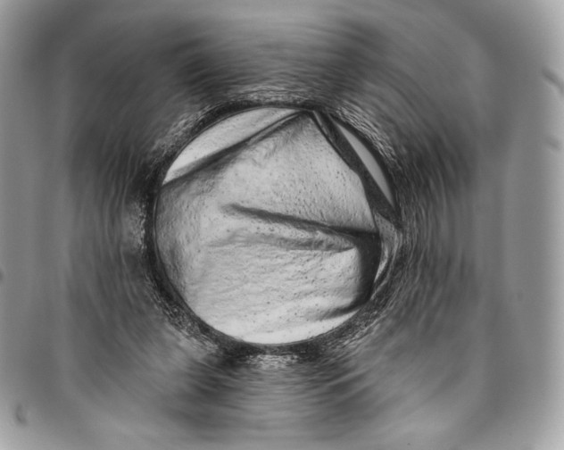 X0000094770255200712071140