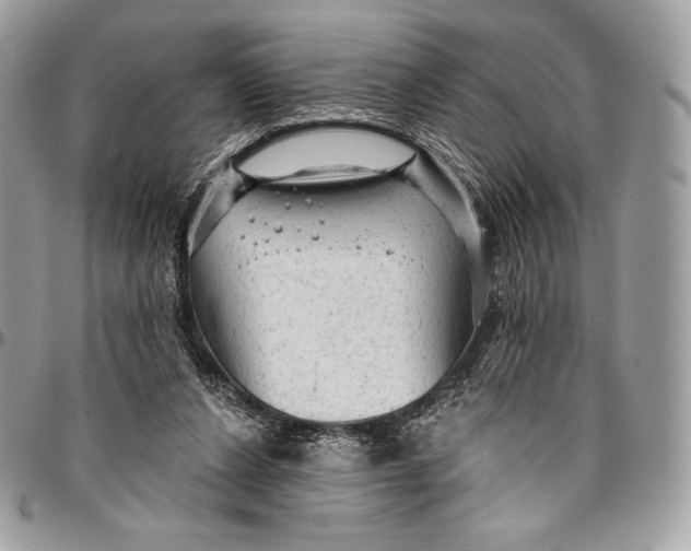 X0000094770256200712071140