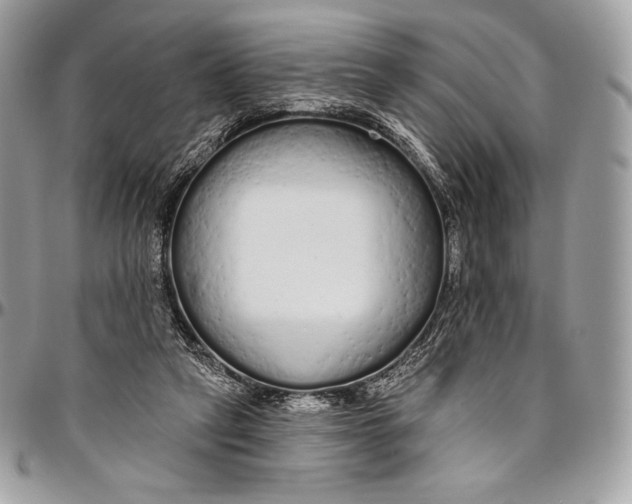 X0000094770257200712071140