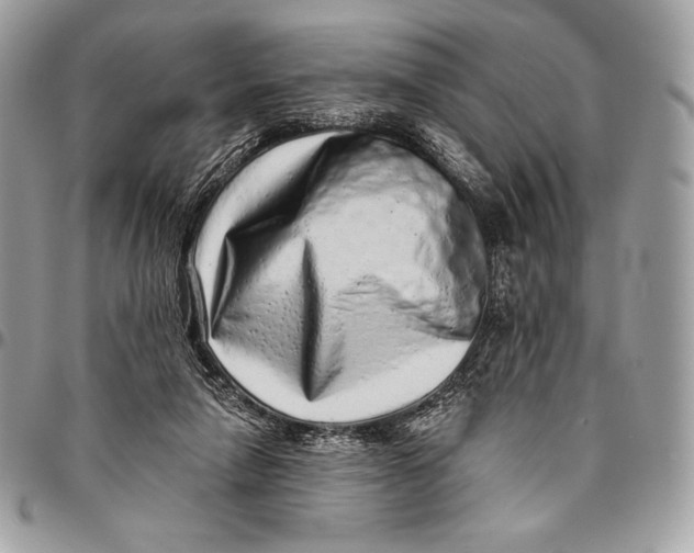 X0000094770258200712071140