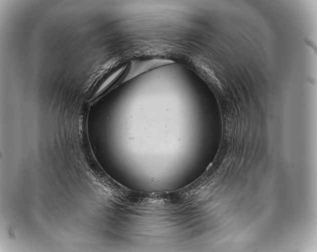 X0000094770260200712071140