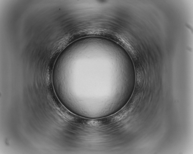 X0000094770261200712071140