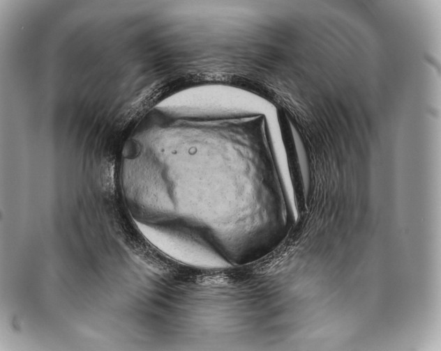 X0000094770262200712071140