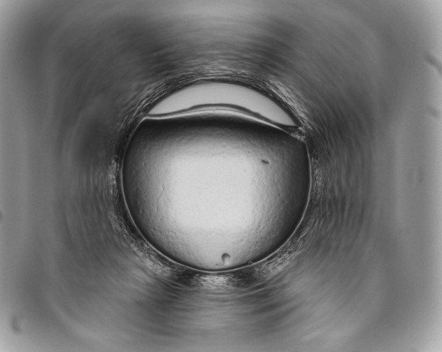 X0000094770265200712071140