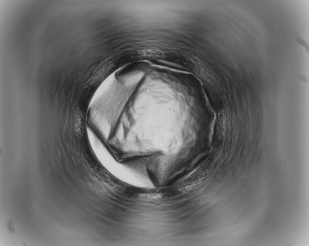 X0000094770266200712071141