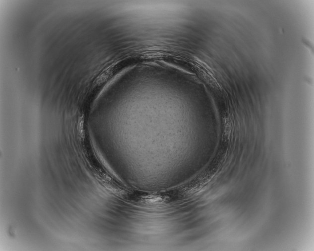 X0000094770267200712071141