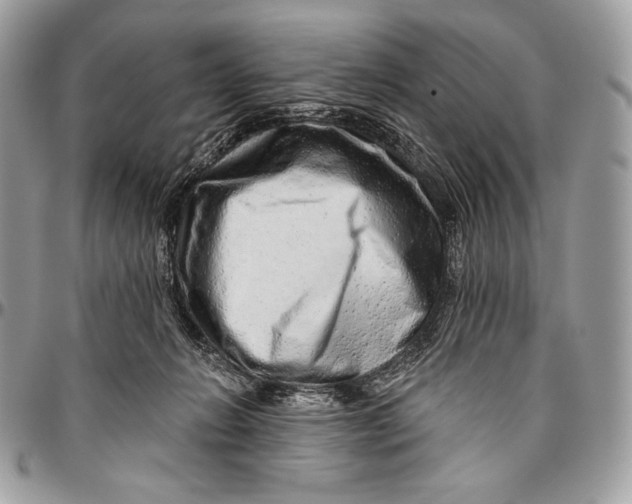 X0000094770270200712071141