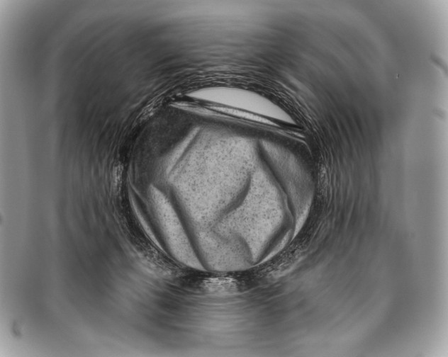 X0000094770271200712071141