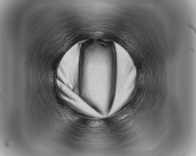 X0000094770274200712071141